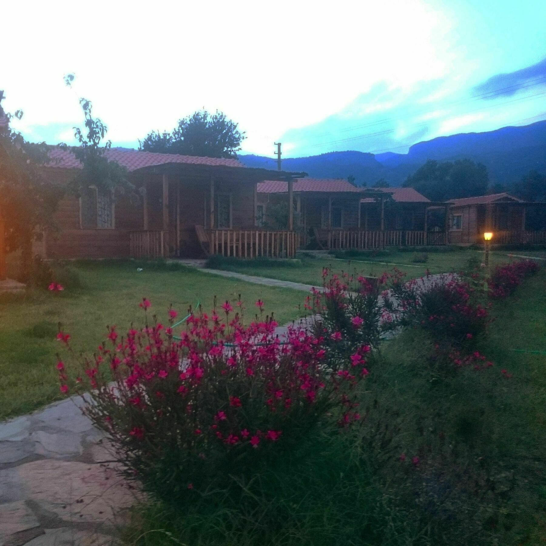 Ipekce Tatil Evleri Mesudiye  Bagian luar foto